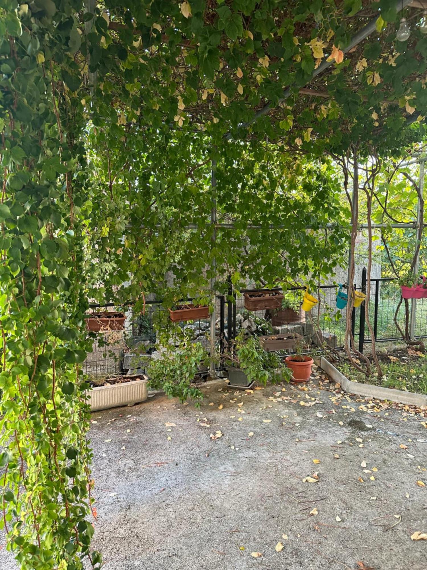 Apartment Roma Kastela Dış mekan fotoğraf