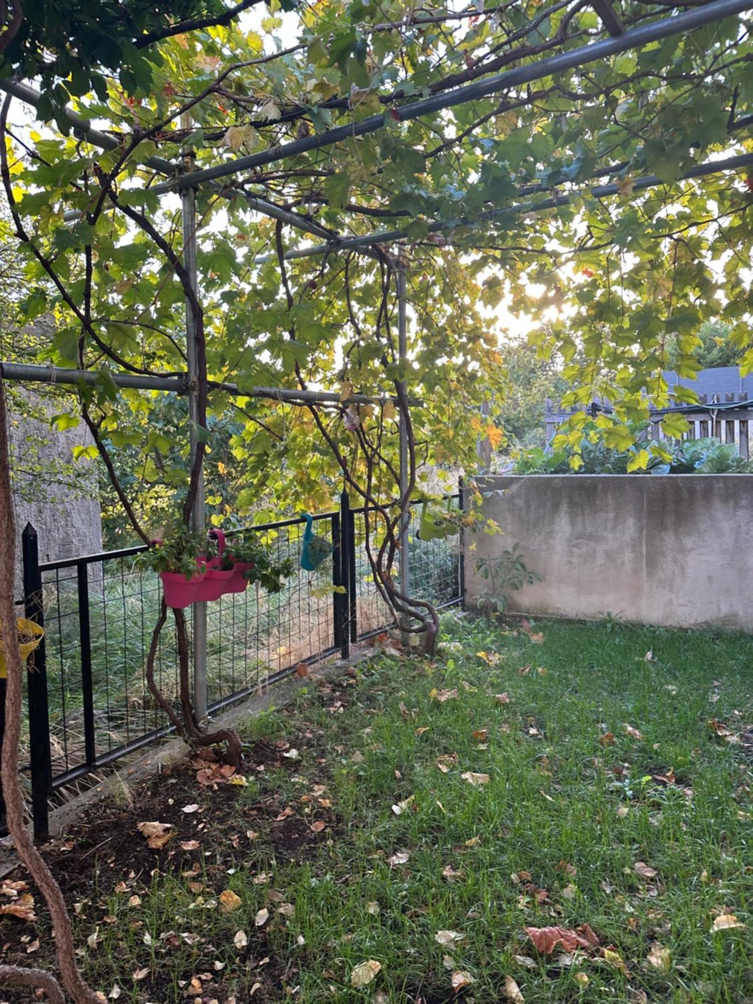 Apartment Roma Kastela Dış mekan fotoğraf